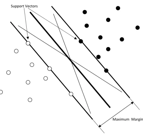 Figure 3.1 Maximum Margin and Support Vectors 