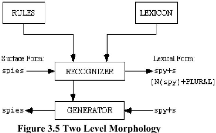 Figure 3.5 Two Level Morphology 