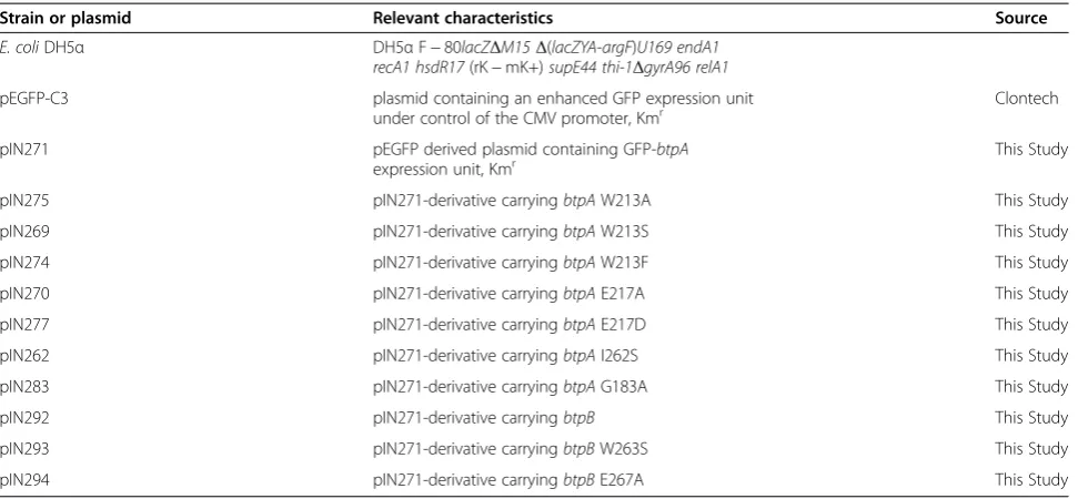 Table 2 Strains and plasmids used in this study