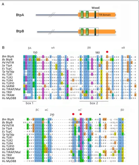 Figure 1 (See legend on next page.)