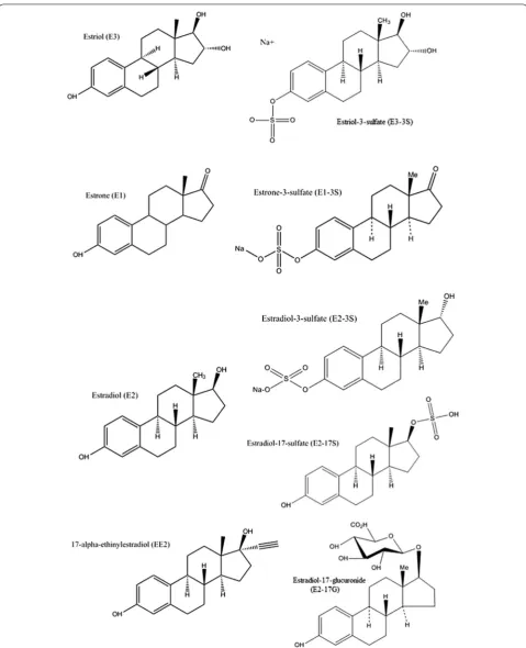 Fig. 1 Chemical structures of target free and conjugated estrogens (drawn using ChemBioDra Ultra 14.0)