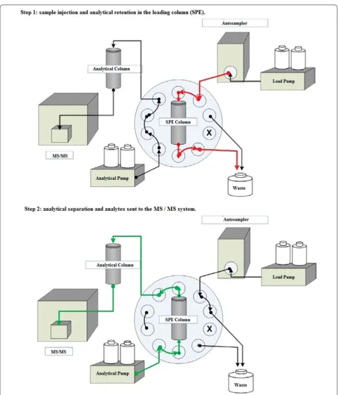 Fig. 2 The EQuan™ system (column-switching technique) schema used in this experiment