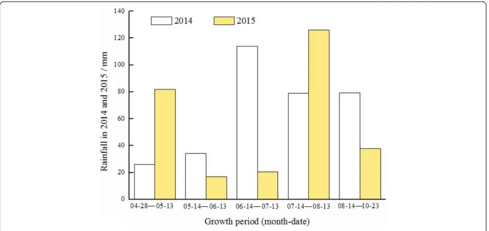 Fig. 1 Rainfall during the cotton growth stages in 2014 and 2015