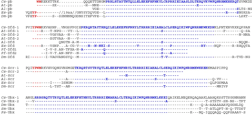 Figure 1Alignment of chelicerate Proboscipedia, Deformed, Sex comb reduced, Ultrabithorax sequencesABD16212, ABD46724