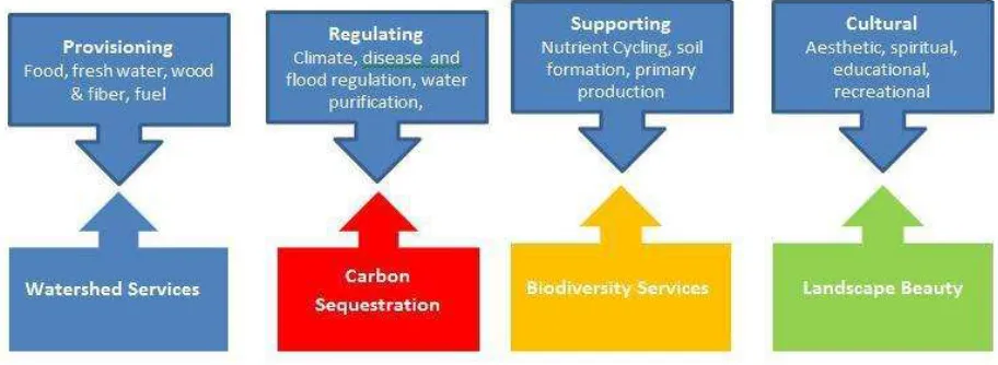 Figure 1: a) Millennium Ecosystem Assessment defined ecosystems. (b) Ecosystem services being sold/on demand from payment for ecosystem services
