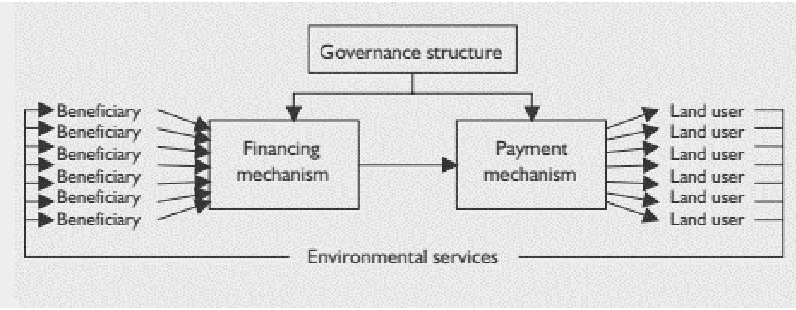 Figure 3: The Flow of Compensation from Beneficiaries to Land Users in Payment for Environmental Services