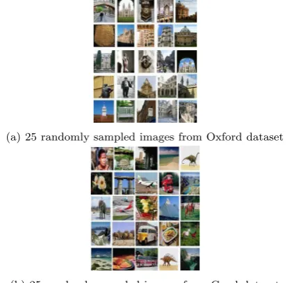 Figure 2. Example Images from the Datasets