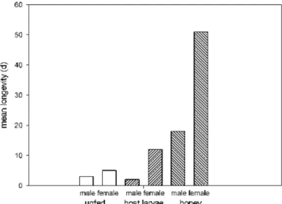 Figure 4 Longevity  of  Holepyris silvanidis at different nutritional conditions at 25-26°C and 55 ± 2.5 % r.h