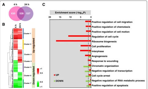 Figure 1 Transcriptome analysis of pBSMC perturbed by PDGF-BB. (A)(green) expression. Venn diagram depicts the proportion of DEGs in 4 h and 24 hmicroarray data sets