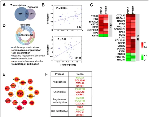Figure 4 Integration and comparison of DEGs and DEPs. (A)leading to 40 common gene and protein species.Spearman rank correlation test)