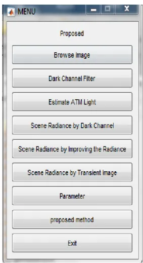 Fig: 9. Apply Radiance by improving the  image radiance. 