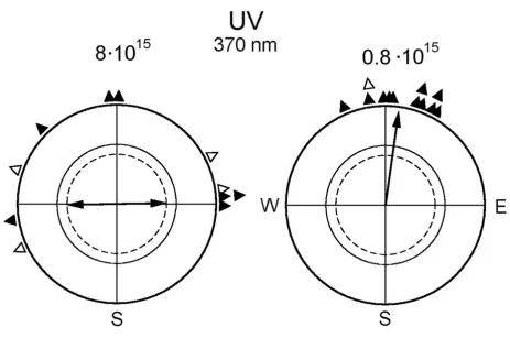 Table 3: Orientation of 12 birds recorded under UV light of two intensities