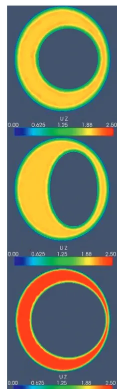 Fig 4. Examples of CSF velocity simulations for maximal systolic flow for a single axialsection in an idealized model of the SAS with different cord shapes or sizes