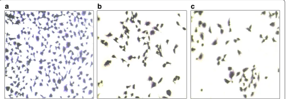Fig. 7 Cytotoxic effects of ZnO and modified ZnO on two cell lines. Non-linear dose response fit for MDA-MB-231 (Adj