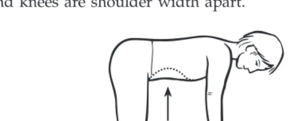 Fig. 3 Abdominal hollowing in four point kneeling.