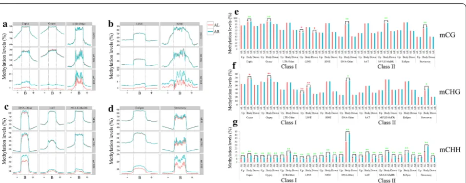 Fig. 2 DNA methylation profiles and levels of gene and TE regions in leaf and root tissues of switchgrass