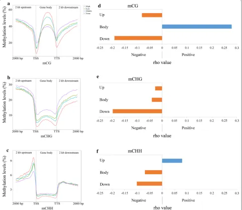 Fig. 5 Effect of DNA methylation of mCG (a), mCHG (b), and mCHH (c) on global gene expression in switchgrass