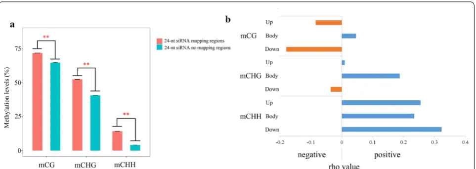 Fig. 6 Association between 24-nt siRNA and DNA methylation in switchgrass. a Comparison of DNA methylation levels between siRNA uniquely mapping region and without that region in the whole genome-scale