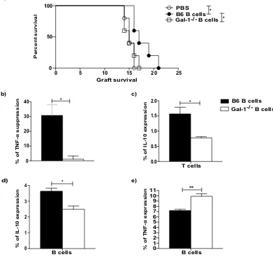 Figure 2. The Gal-1 expressions in B cells is necessary for their acquisition of regulatory function to prolong negatively sorted CD4IL-10 expressing B cells, (experiments with 10 mice per group