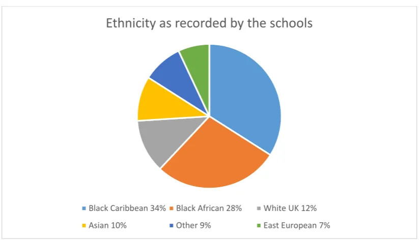 Fig. 2 – ethnicity  