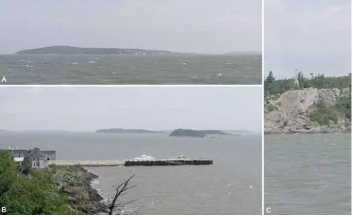 Fig. 1. Grosse Île in the St. Lawrence River, Québec, Canada. A. First view from the west