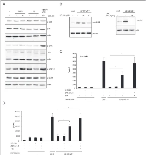 Figure 4 Involvement of MAPkinases in the modulation of LPS-induced IL-12 release.and/or LPS (30 ng/ml) for the indicated time points or left unstimulated