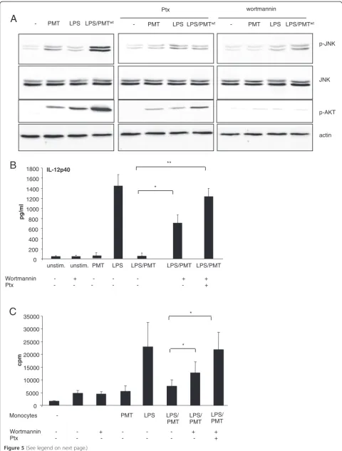 Figure 5 (See legend on next page.)