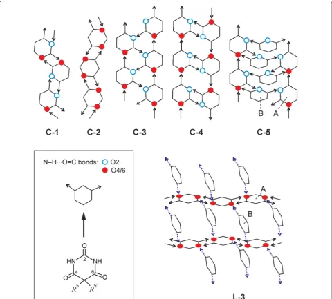 Fig. 2 Schematic representation according to Ref. [23] of selected N–H···O=C bonded chain and layer HBSs found in derivatives of barbituric acid