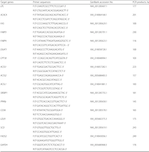 Table 1 PCR primer sequences of the target genes
