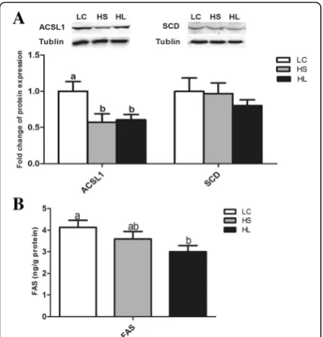 Fig. 4 The level of the DNA Methylation in the promoter regions ofthe target genes. Data are presented as mean ± SE