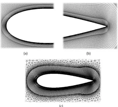 Fig. 3. Unstructured domain mesh (a) Rotor Mesh (b) Outer Mesh. 