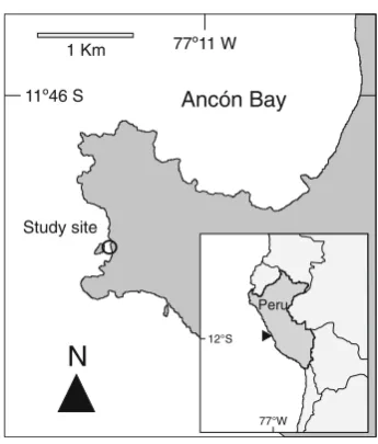 Fig. 1 Map of the area of Anco´n Bay, indicating the study site (opencircle)