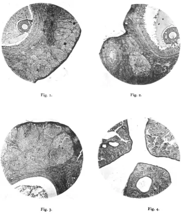 Fig, uFig. 2.