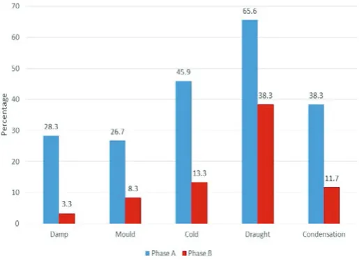 Figure 2 Problems experienced in homes in Phases A and B (Percentage) 
