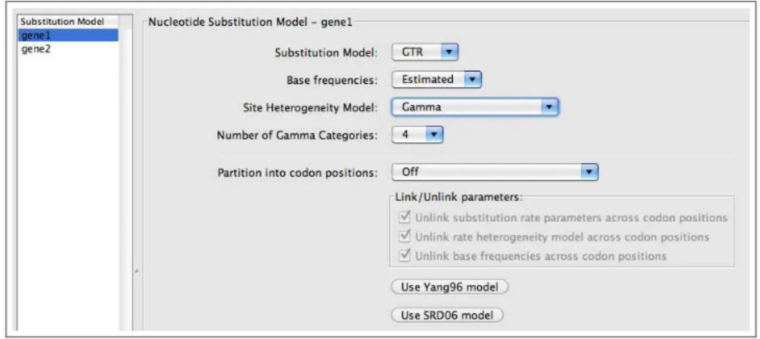 Figure 10: Defining a GTR+Γ model for gene1.