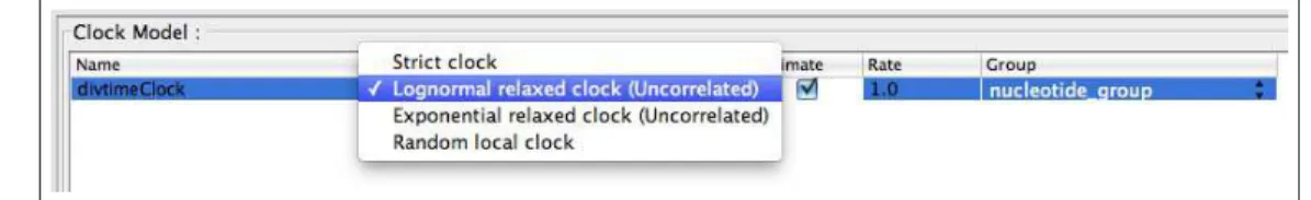 Figure 11: Options for modeling among-lineage substitution rate variation in the Clock Model menu.