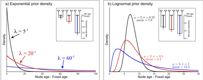 Figure 3: Two common prior densities for calibrating node ages. a) The exponential distribution with three different values for the rate parameter, λ