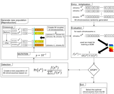 Figure 2. Diagram for the selection of variables based on a genetic algorithm associated with Kohonen maps.