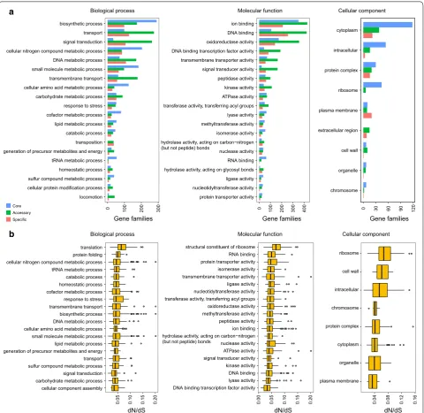 Fig. 3 GO annotation of gene families. a GO annotation of pan-genome in biological processes, molecular function and cellular component
