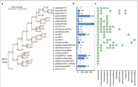 Fig. 4 Dynamic evolution of orthologous gene family. a Gene family expansion and contraction in each evolutionary branch