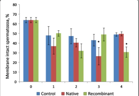 Fig. 5 Percentage of live sperms during incubation with native andrecombinant OVGP1 as compared to control (without native andrecombinant OVGP1)
