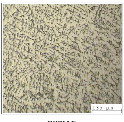 FIGURE 5 (D)   