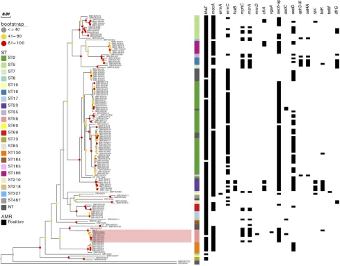 Figure 1 Core-genome mid-point rooted phylogenetic tree of 136 S. epidermidis isolates
