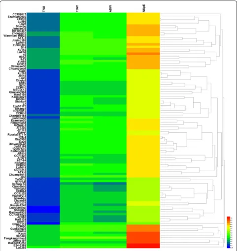 Fig. 1 Heatmap clustering for relative indicators in different cotton genotypes