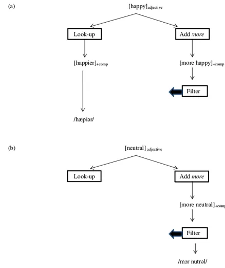 Fig 2. A schematic representation of the production of comparative adjectives.