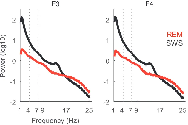 Fig. 3. Averaged power spectrum in REM and SWS sleep. Per electrode (F3 and F4), power spectrum of the 3 min of sleep preceding each awakening was computed (seeMethods) and log-transformed (base 10) before being averaged across awakenings for REM and SWS separately.