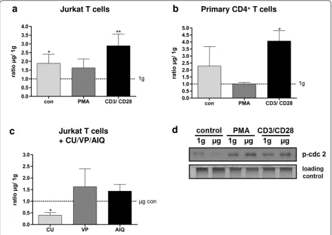 Figure 5 Expression of p21curcumin, AIQ = 5-aminoisoquinoline. Results are expressed as mean ± SEM