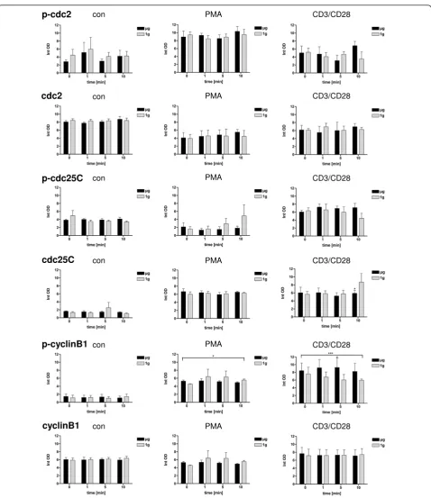 Figure 3 Protein expression and phosphorylation of cdc2, cdc25 and cyclinB1 in Jurkat T cells at the onset (0 min) and after 1 min, 5min and 10 min simulated weightlessness (μg) without (con) or with PMA (PMA) or CD3/CD28 soluble antibodies (CD3/CD28)
