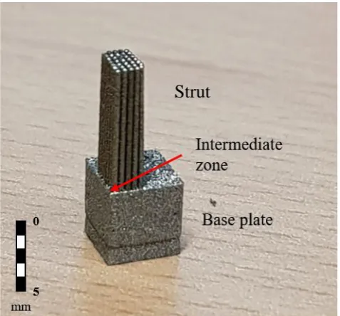 Fig. 1.   The SLS-manufactured sample showing the thick base plate with 35 thin spines protruding from its upper face