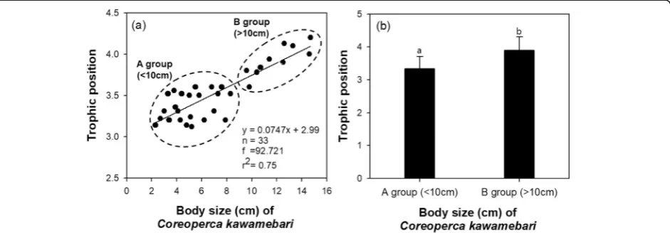 Fig. 1 Trophic position based on the body size of Coreoperca kawamebari. a Trophic position based on the gradient of body size (regression df =1 and residual df = 31) and b trophic position of the two groups divided based on body size